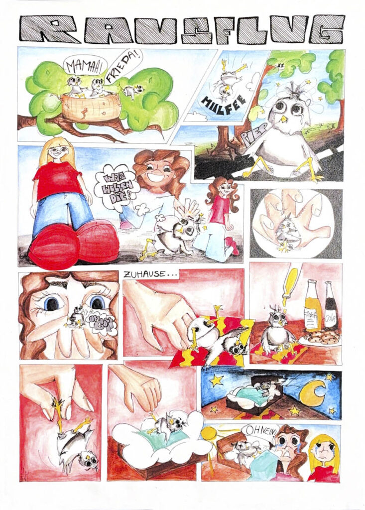 Comic von Lena W., FOSBOS, Augsburg – Beste Story 17+ Jahre